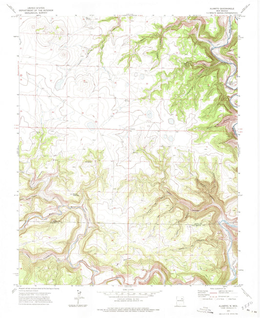 Classic USGS Alamito New Mexico 7.5'x7.5' Topo Map Image