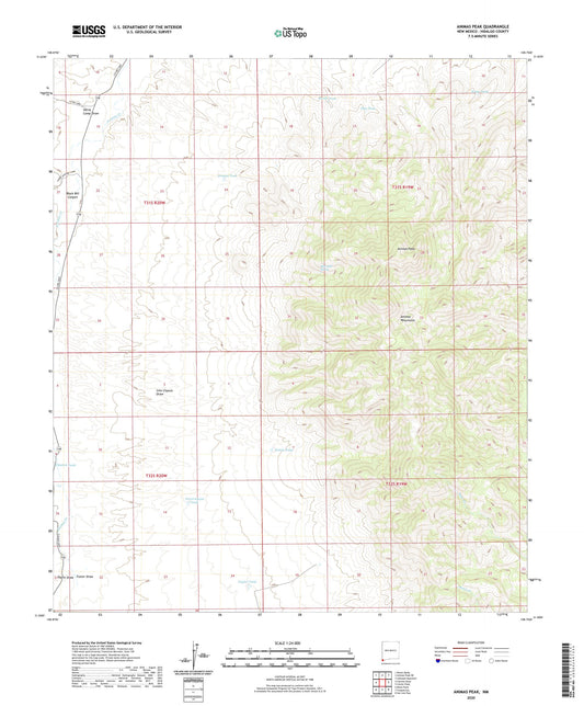 Animas Peak New Mexico US Topo Map Image