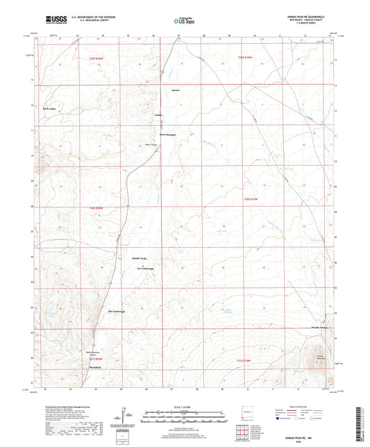 Animas Peak NE New Mexico US Topo Map Image