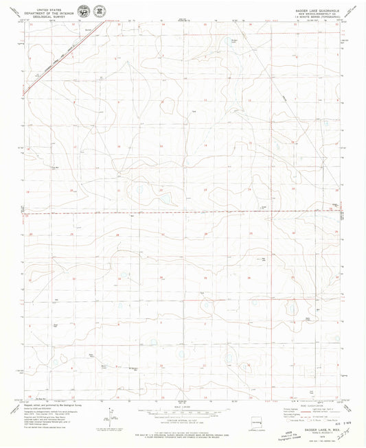 Classic USGS Badger Lake New Mexico 7.5'x7.5' Topo Map Image