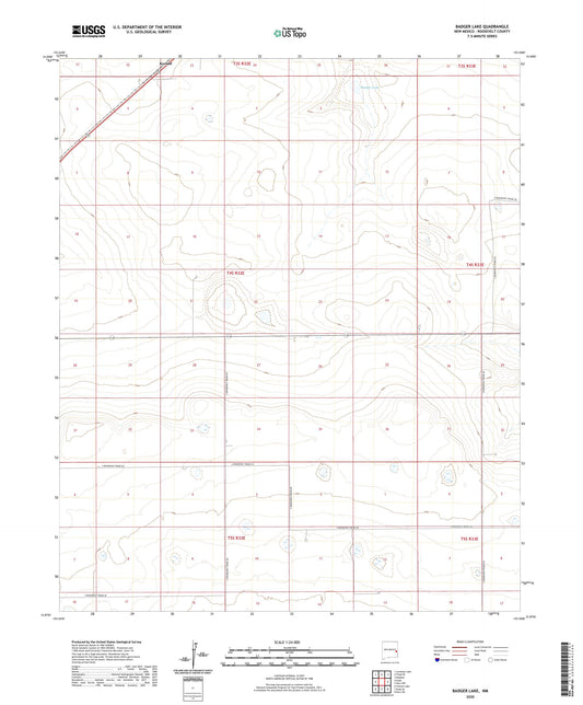 Badger Lake New Mexico US Topo Map Image