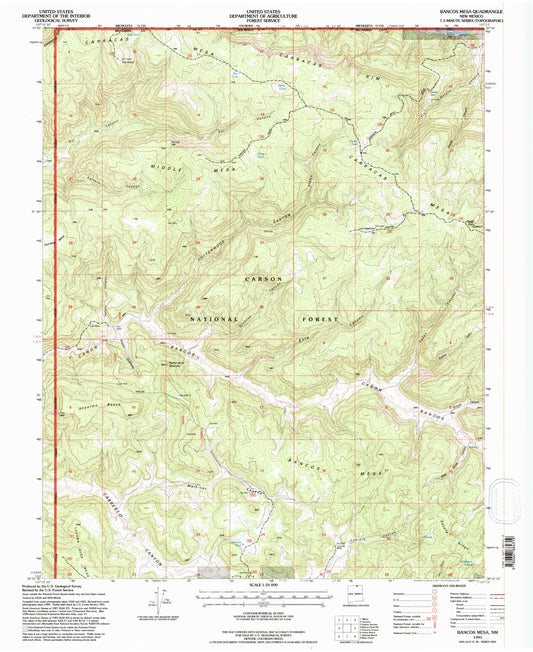Classic USGS Bancos Mesa New Mexico 7.5'x7.5' Topo Map Image