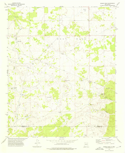 Classic USGS Bigbee Draw New Mexico 7.5'x7.5' Topo Map Image