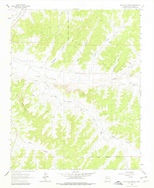 Classic USGS Billy Rice Canyon New Mexico 7.5'x7.5' Topo Map Image