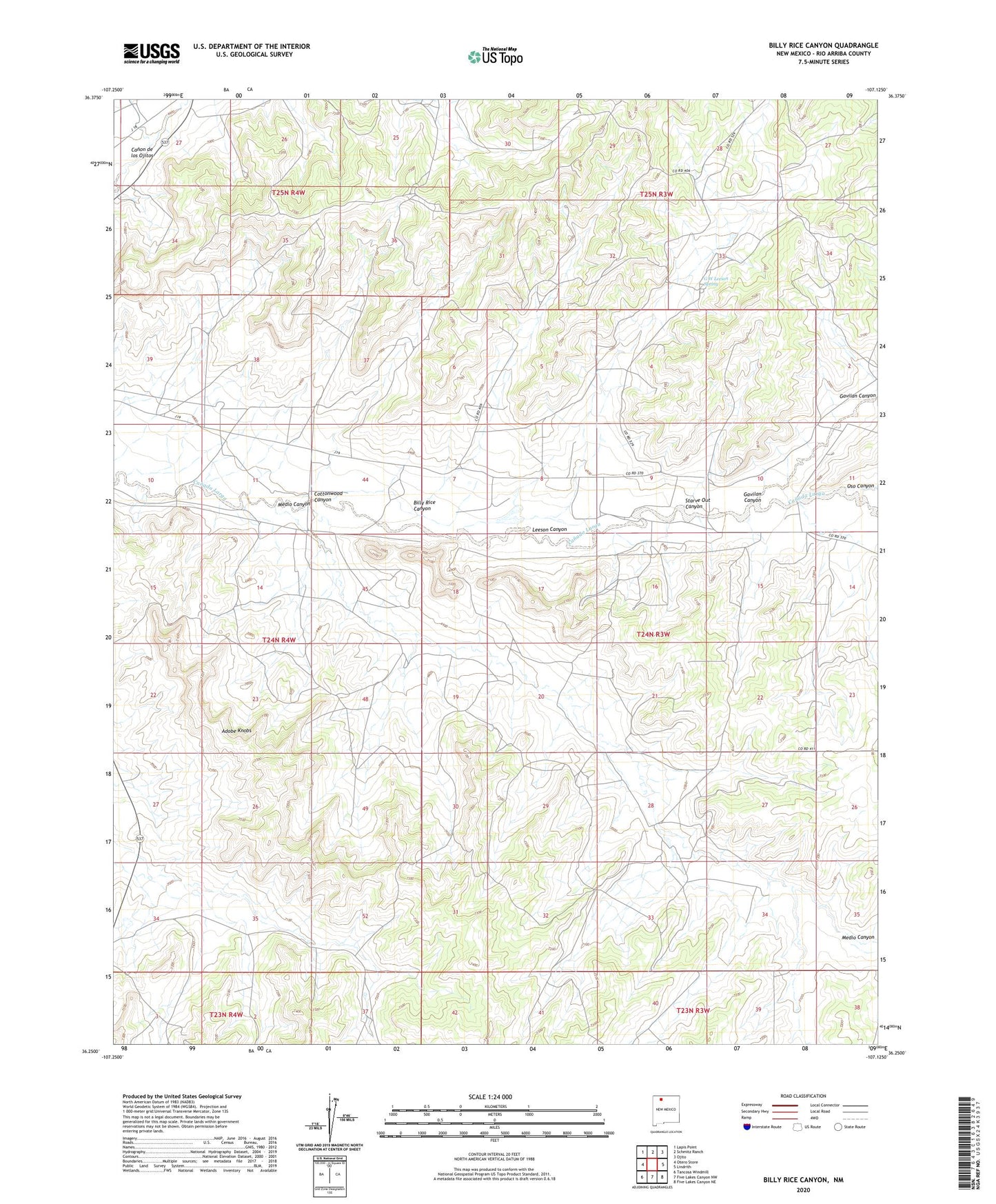 Billy Rice Canyon New Mexico US Topo Map Image