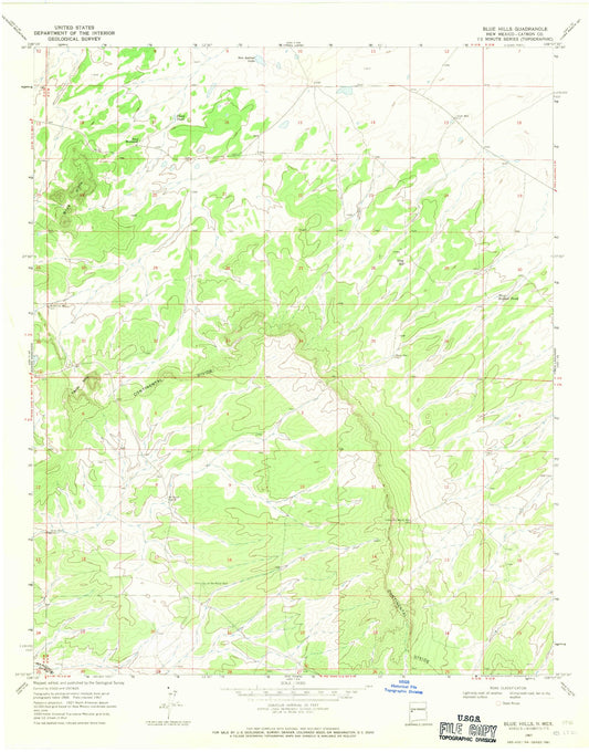 Classic USGS Blue Hills New Mexico 7.5'x7.5' Topo Map Image