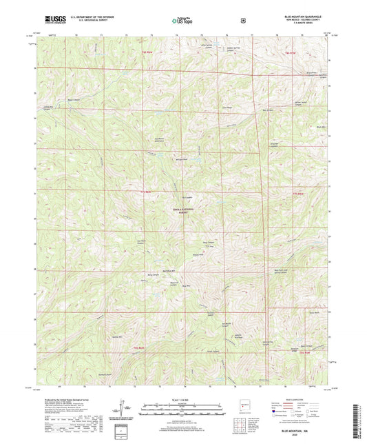 Blue Mountain New Mexico US Topo Map Image