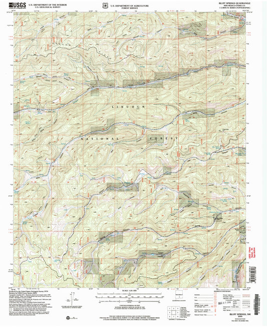 Classic USGS Bluff Springs New Mexico 7.5'x7.5' Topo Map Image