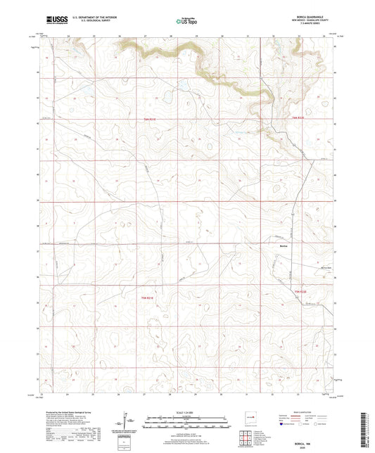 Borica New Mexico US Topo Map Image
