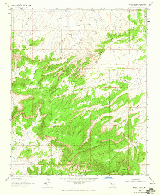 Classic USGS Borrego Pass New Mexico 7.5'x7.5' Topo Map Image