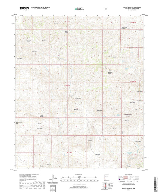 Brushy Mountain New Mexico US Topo Map Image