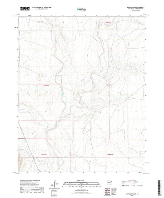 Buffalo Springs New Mexico US Topo Map Image