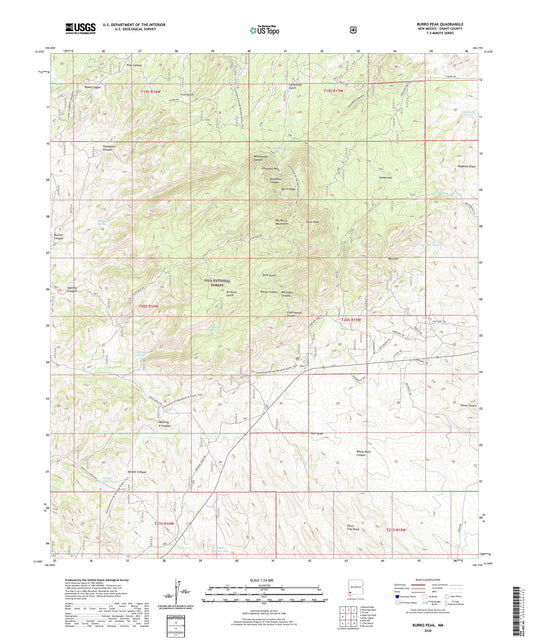 Burro Peak New Mexico US Topo Map Image