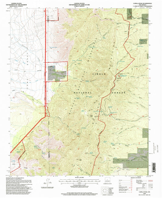 Classic USGS Capilla Peak New Mexico 7.5'x7.5' Topo Map Image