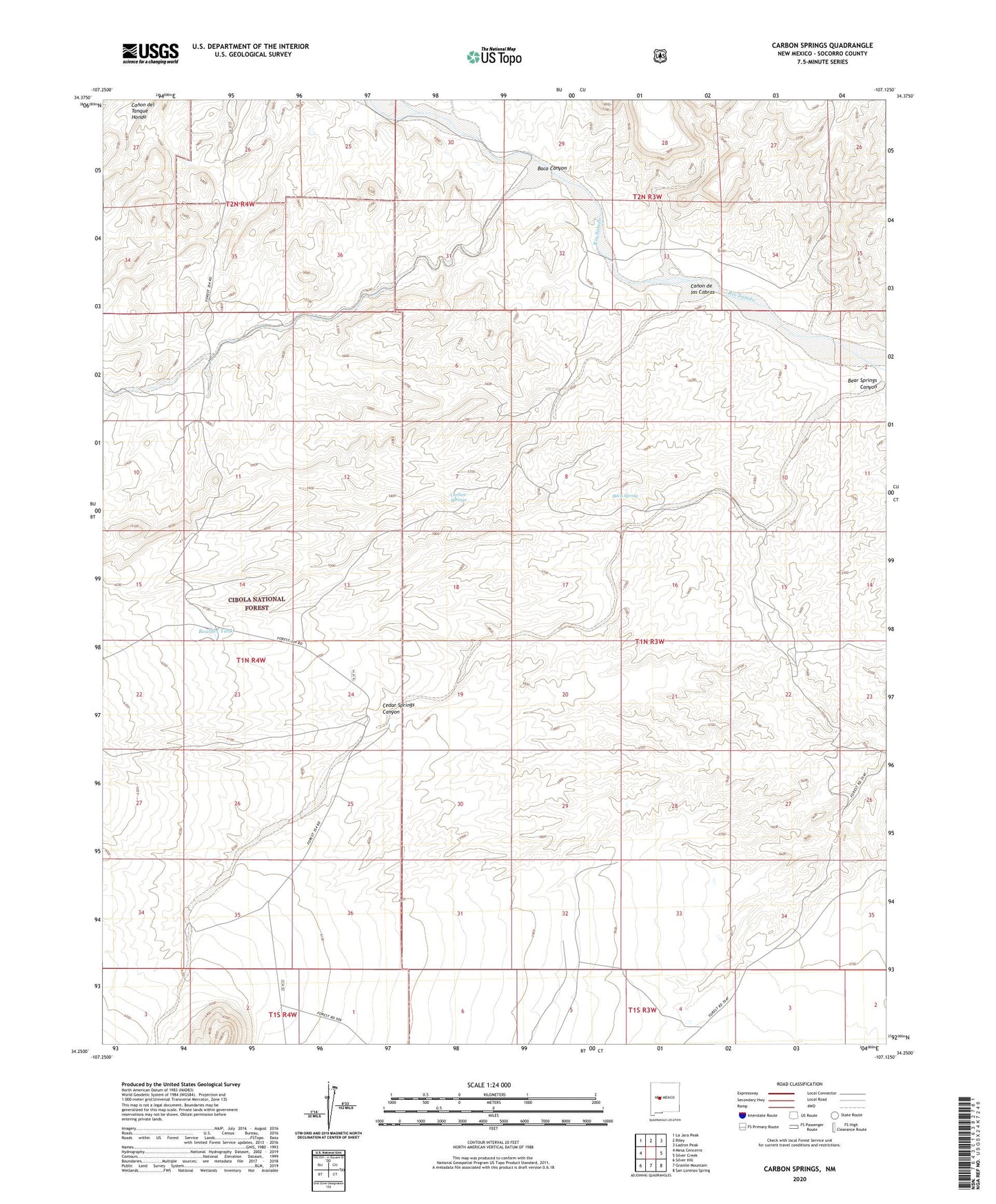 Carbon Springs New Mexico US Topo Map Image