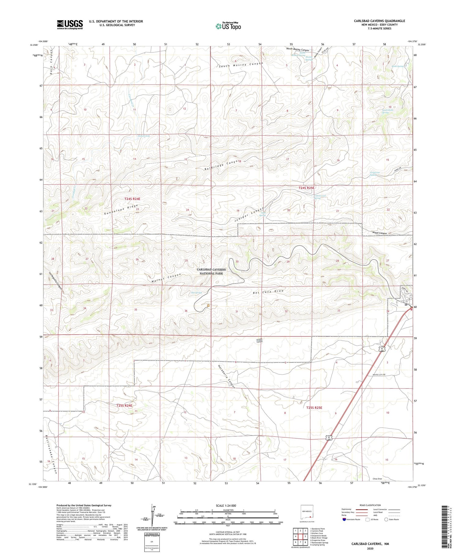 Carlsbad Caverns New Mexico US Topo Map Image