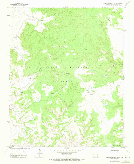 Classic USGS Carpenter Mesa NW New Mexico 7.5'x7.5' Topo Map Image