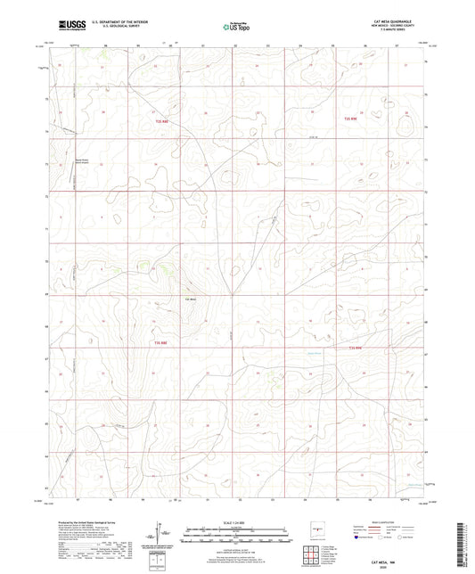 Cat Mesa New Mexico US Topo Map Image