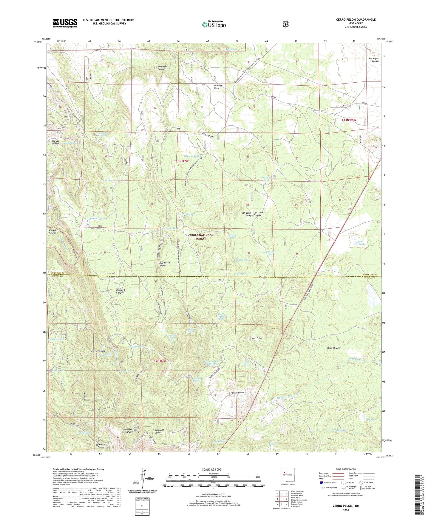 Cerro Pelon New Mexico US Topo Map Image