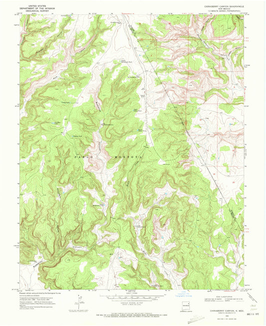 Classic USGS Chinaberry Canyon New Mexico 7.5'x7.5' Topo Map Image