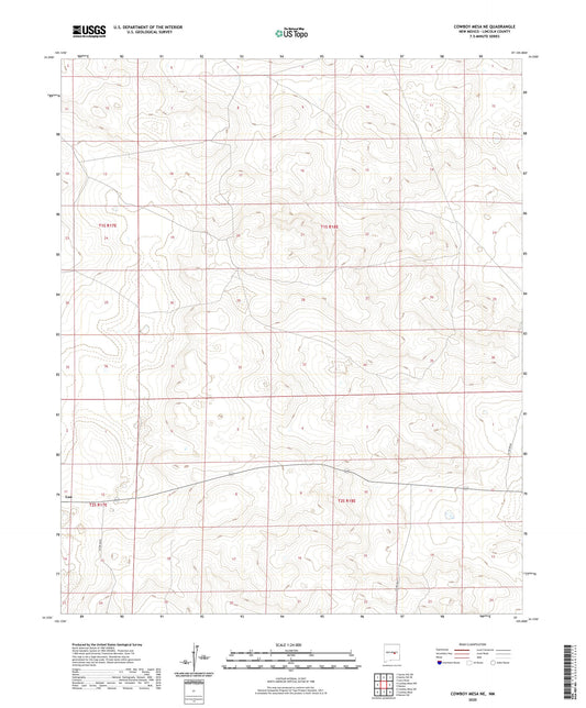 Cowboy Mesa NE New Mexico US Topo Map Image