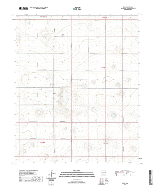 Dora New Mexico US Topo Map Image