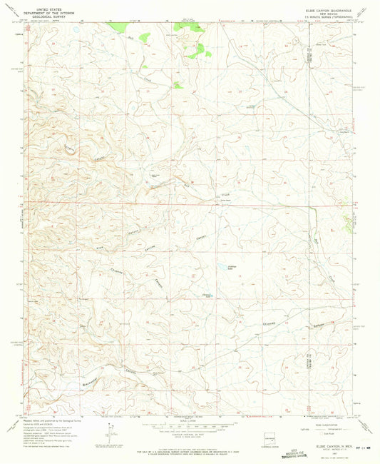 Classic USGS Elsie Canyon New Mexico 7.5'x7.5' Topo Map Image