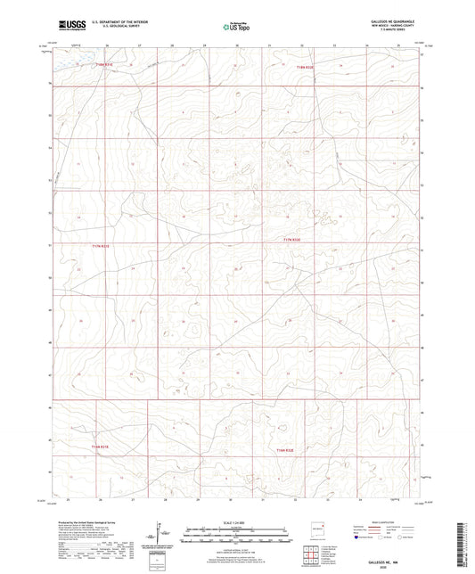 Gallegos NE New Mexico US Topo Map Image