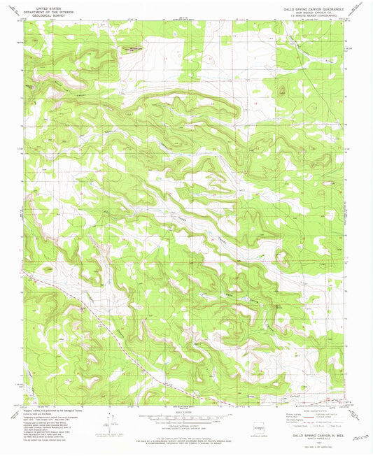 Classic USGS Gallo Spring Canyon New Mexico 7.5'x7.5' Topo Map Image