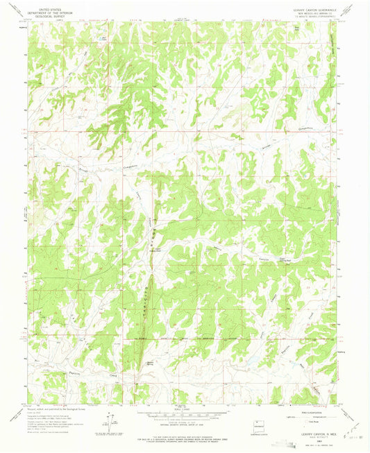 Classic USGS Leavry Canyon New Mexico 7.5'x7.5' Topo Map Image