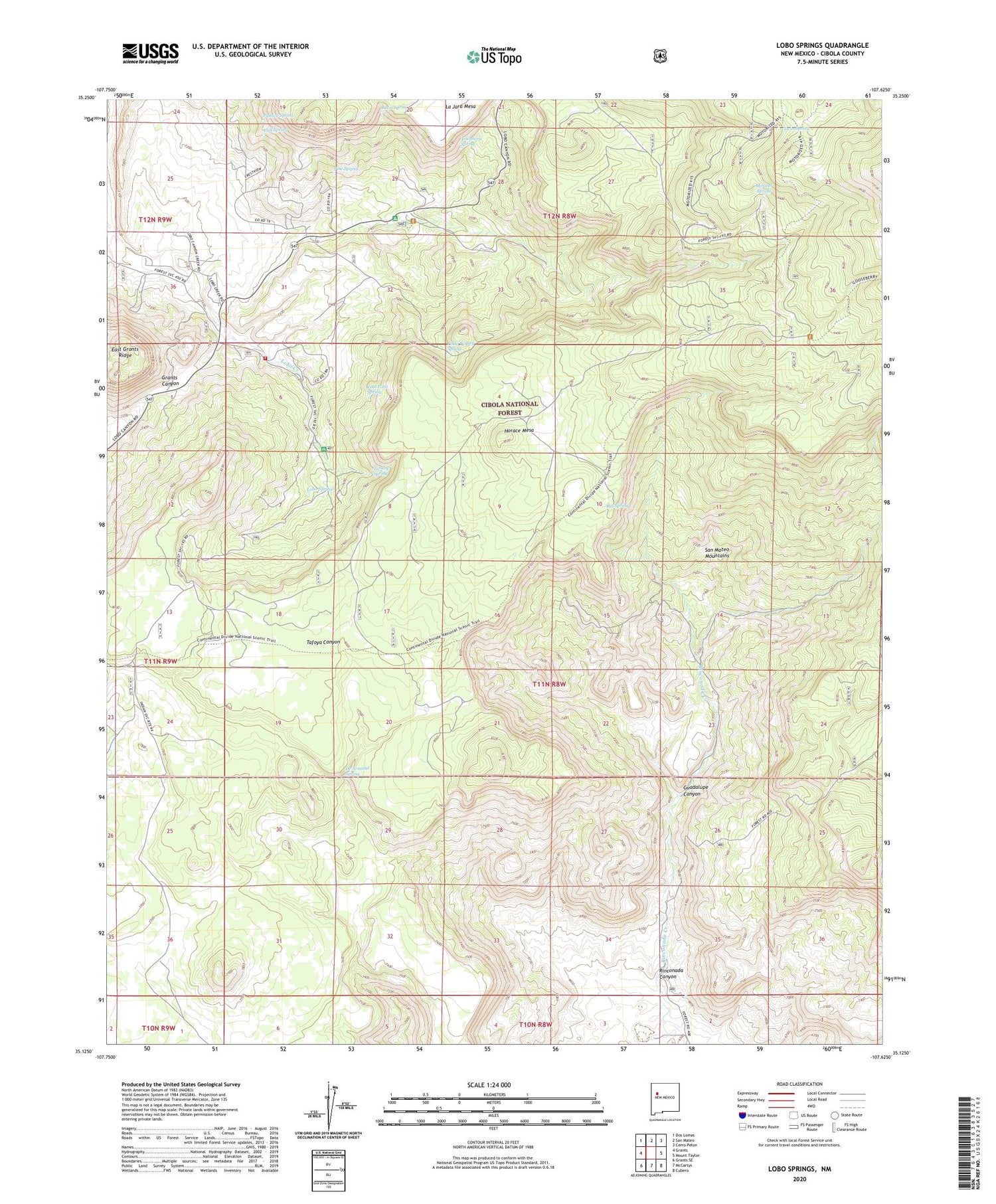 Lobo Springs New Mexico US Topo Map Image