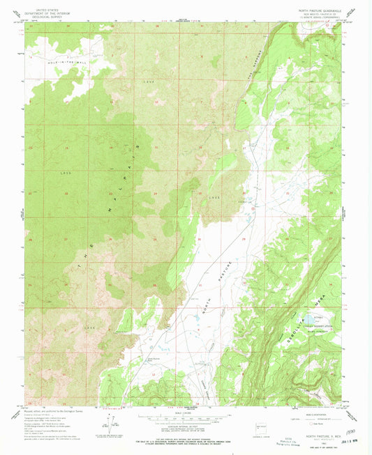 Classic USGS North Pasture New Mexico 7.5'x7.5' Topo Map Image