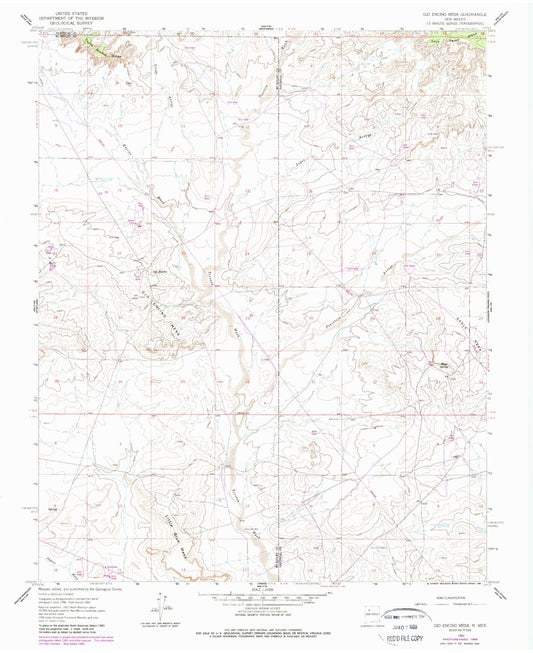 Classic USGS Ojo Encino Mesa New Mexico 7.5'x7.5' Topo Map Image
