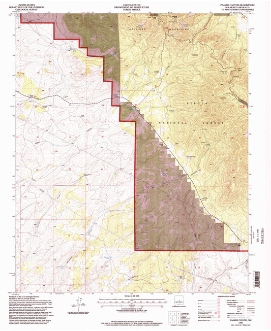 Classic USGS Pajaro Canyon New Mexico 7.5'x7.5' Topo Map Image