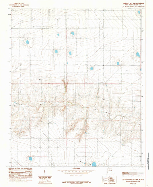 Classic USGS Pleasant Hill NW New Mexico 7.5'x7.5' Topo Map Image
