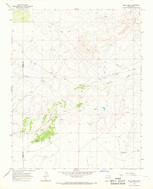 Classic USGS Skull Mesa New Mexico 7.5'x7.5' Topo Map Image