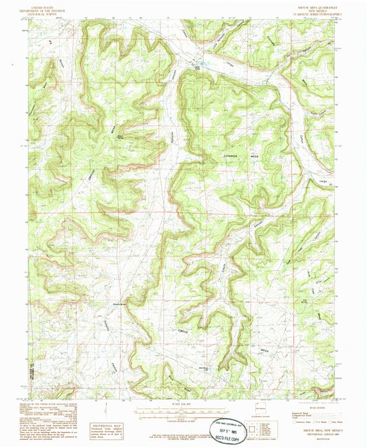 Classic USGS Smouse Mesa New Mexico 7.5'x7.5' Topo Map Image