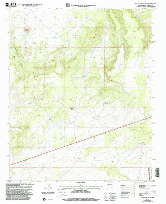 Classic USGS Tejana Mesa SW New Mexico 7.5'x7.5' Topo Map Image