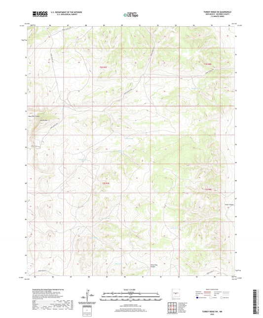 Turkey Ridge SW New Mexico US Topo Map Image