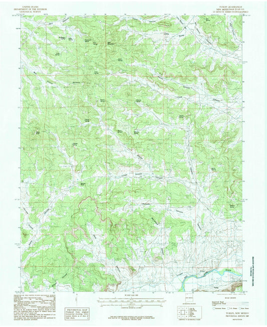 Classic USGS Turley New Mexico 7.5'x7.5' Topo Map Image