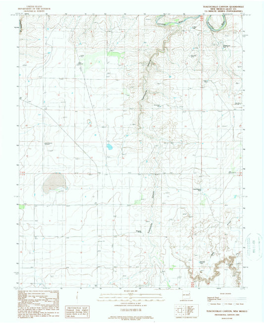 Classic USGS Tuscocoillo Canyon New Mexico 7.5'x7.5' Topo Map Image