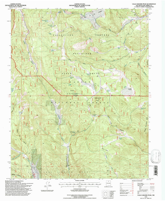 Classic USGS Valle Grande Peak New Mexico 7.5'x7.5' Topo Map Image