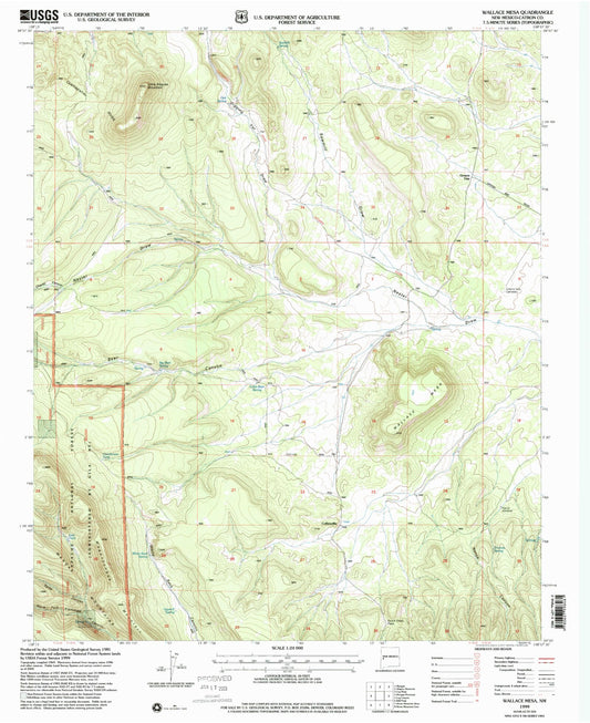 Classic USGS Wallace Mesa New Mexico 7.5'x7.5' Topo Map Image