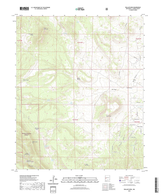 Wallace Mesa New Mexico US Topo Map Image