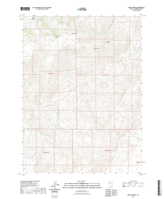 Burnt Springs Nevada US Topo Map Image