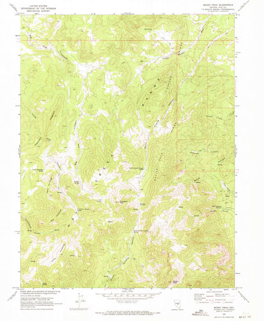 Classic USGS Morey Peak Nevada 7.5'x7.5' Topo Map Image