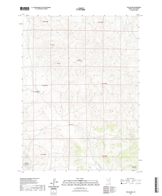 The Baldies Nevada US Topo Map Image