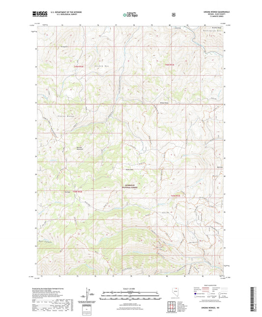 Ungina Wongo Nevada US Topo Map Image