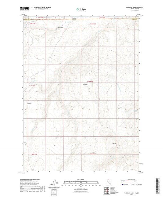 Washburn Basin Nevada US Topo Map Image