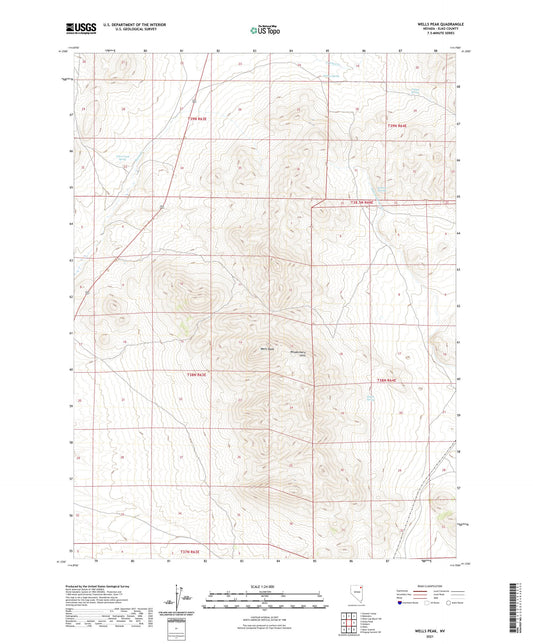 Wells Peak Nevada US Topo Map Image